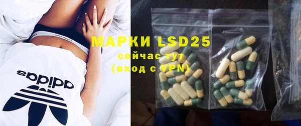 ПСИЛОЦИБИНОВЫЕ ГРИБЫ Ельня