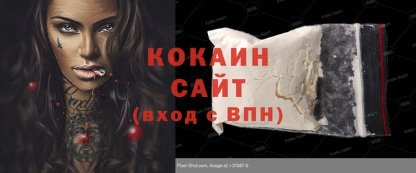 ПСИЛОЦИБИНОВЫЕ ГРИБЫ Ельня
