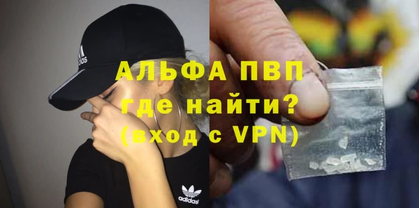 ПСИЛОЦИБИНОВЫЕ ГРИБЫ Ельня