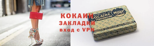 ПСИЛОЦИБИНОВЫЕ ГРИБЫ Ельня