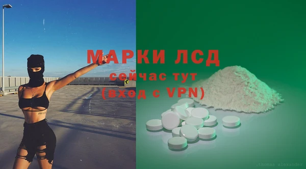 ПСИЛОЦИБИНОВЫЕ ГРИБЫ Ельня