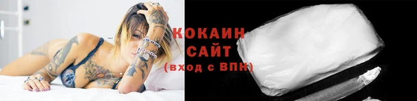 ПСИЛОЦИБИНОВЫЕ ГРИБЫ Ельня