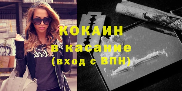 ПСИЛОЦИБИНОВЫЕ ГРИБЫ Ельня