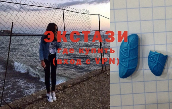 ПСИЛОЦИБИНОВЫЕ ГРИБЫ Ельня