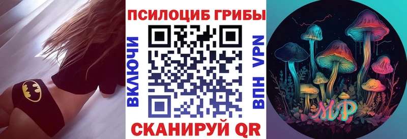 OMG где купить наркоту Зубцов Галлюциногенные грибы прущие грибы